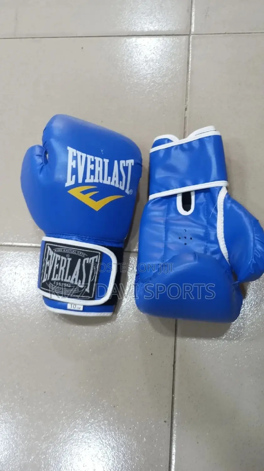 Everlast Boxing Gloves Good Quality
