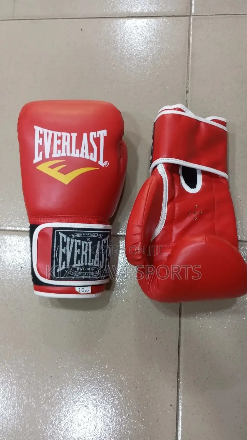 Everlast Boxing Gloves Good Quality