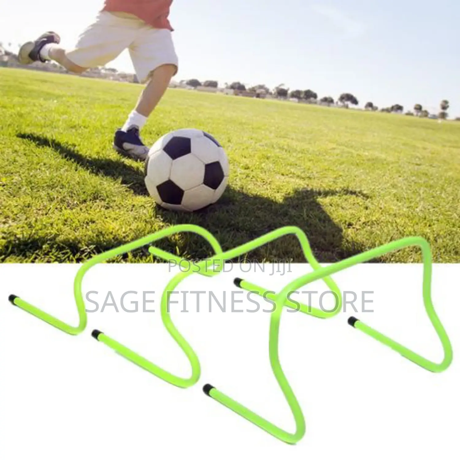 Agility Hurdle