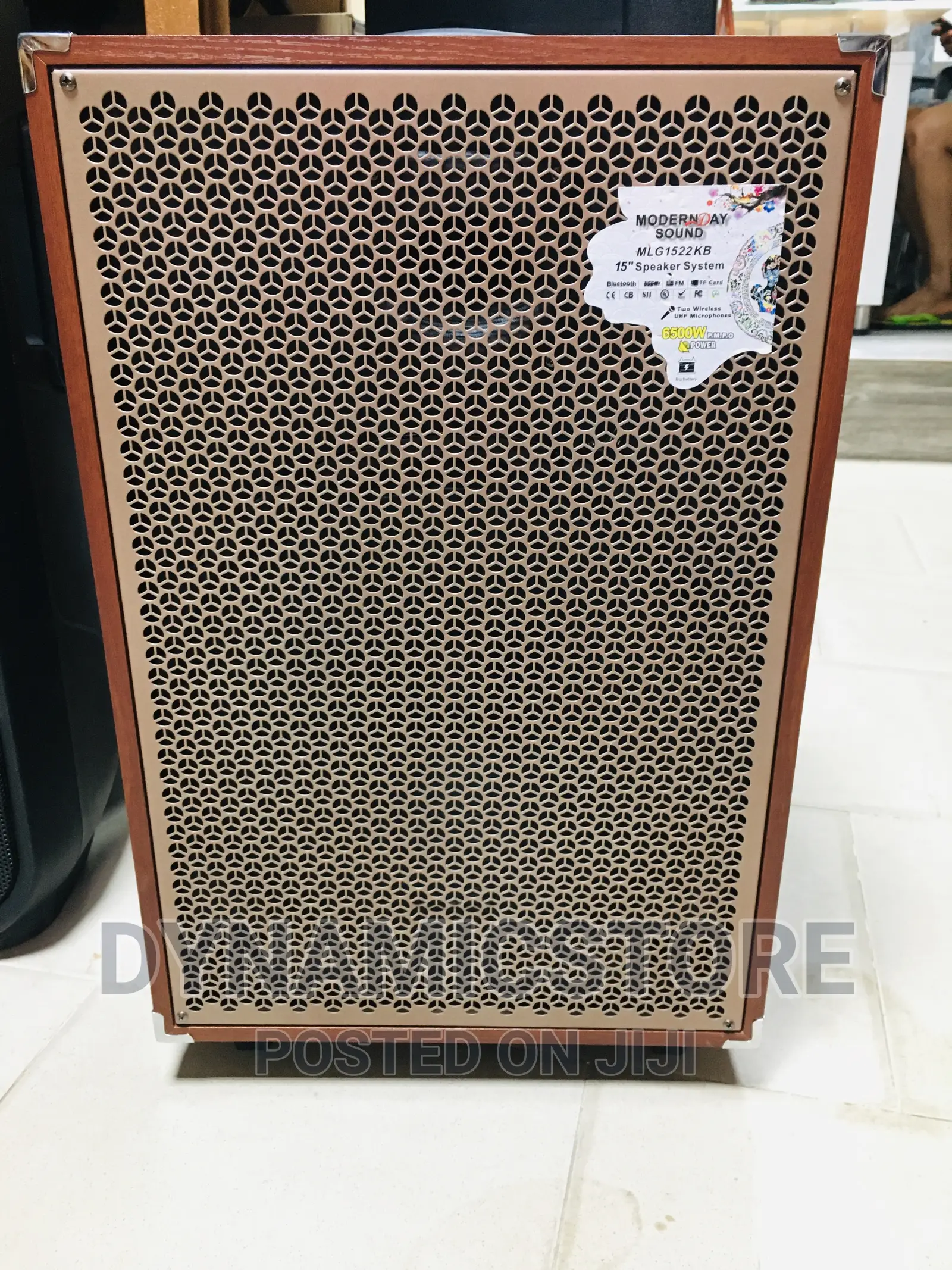 15 Inches Wooden Body Modern Day 6500w