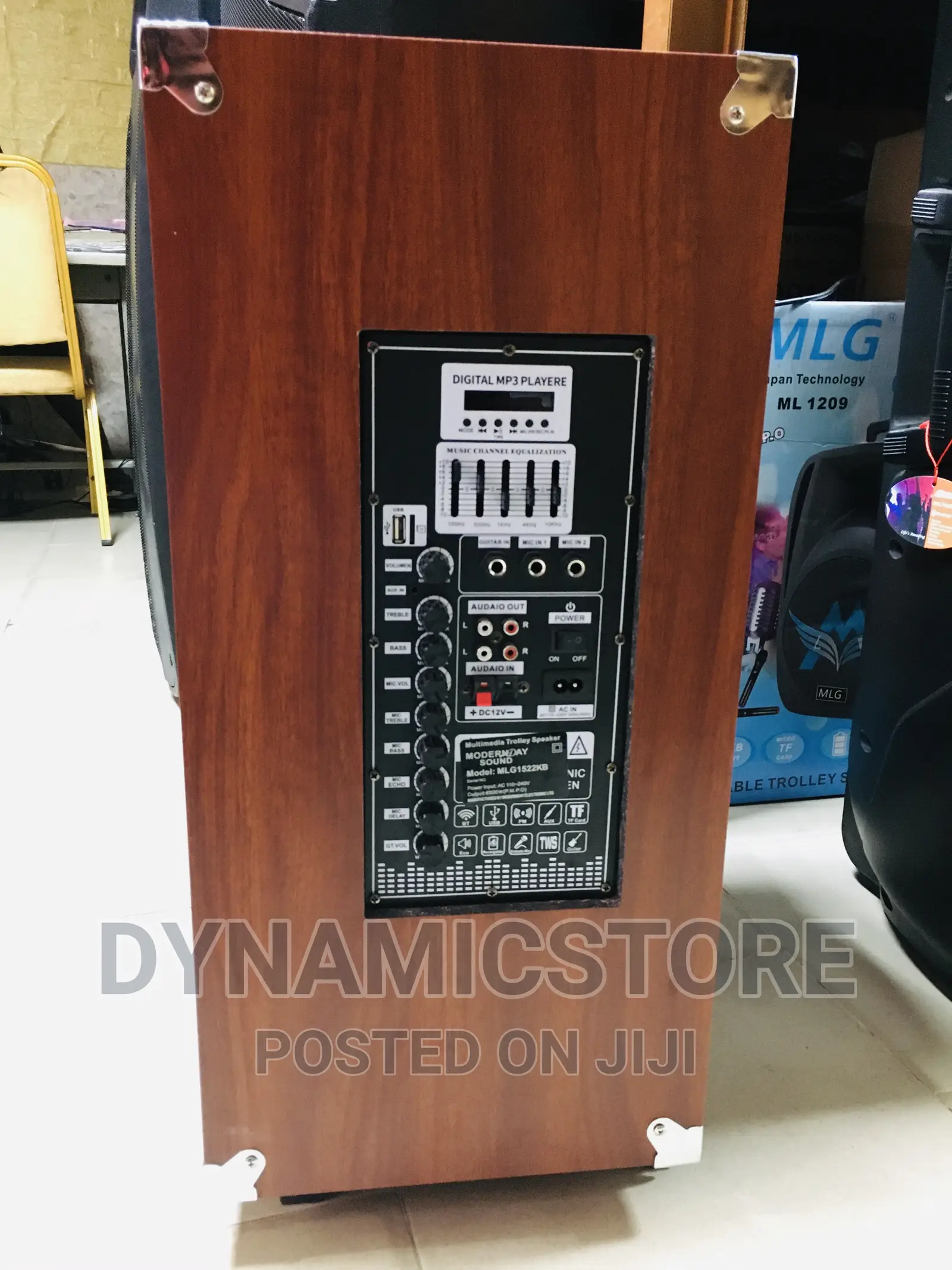 15 Inches Wooden Body Modern Day 6500w