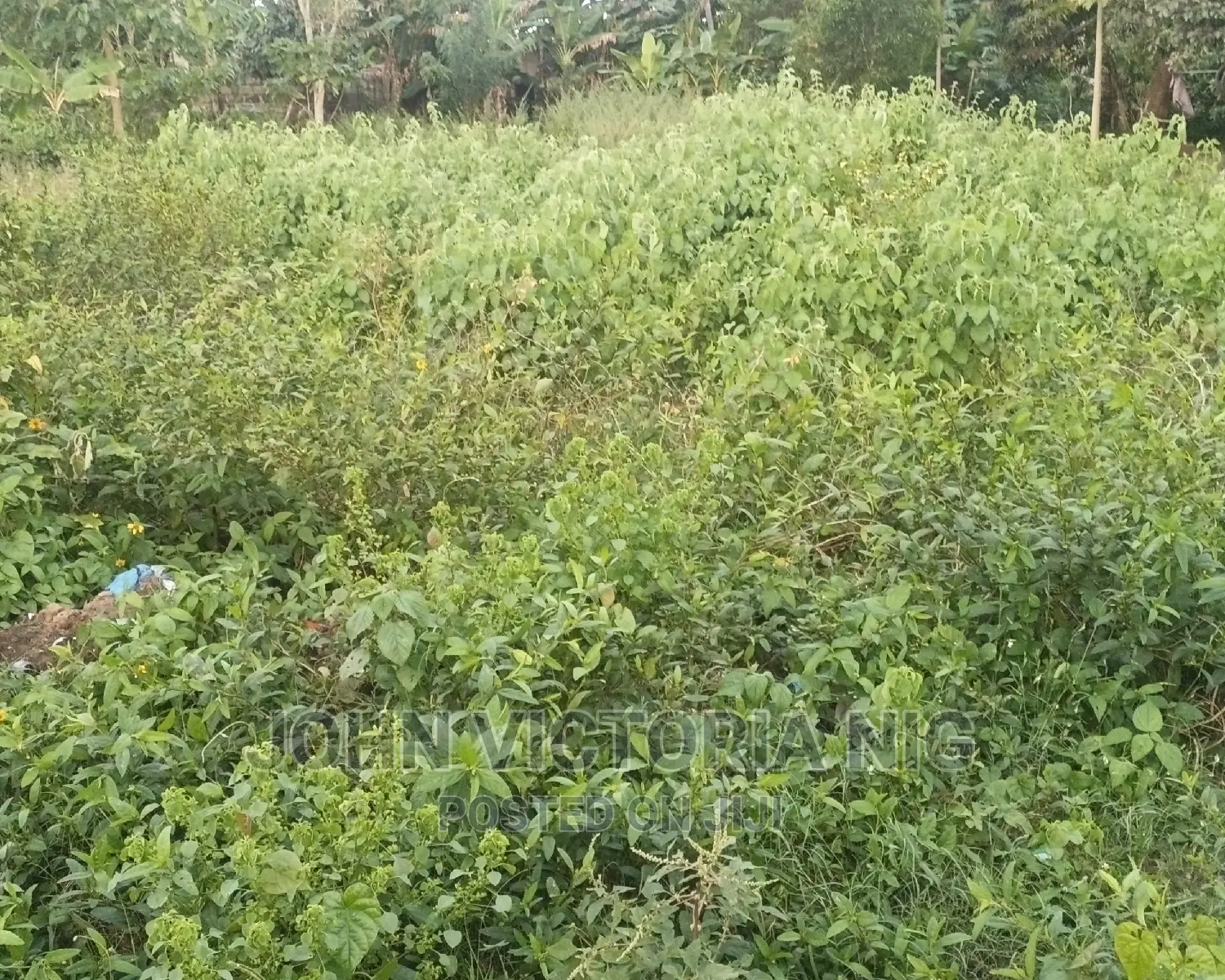 Empty Full Plot of Land for Sale in Badagry