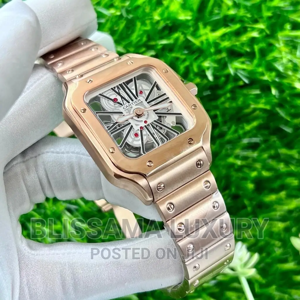 Luxury Cartier Skeleton Face Wristwatch
