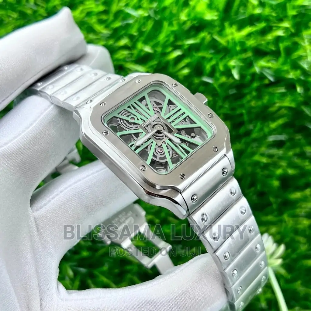 Luxury Cartier Skeleton Face Wristwatch