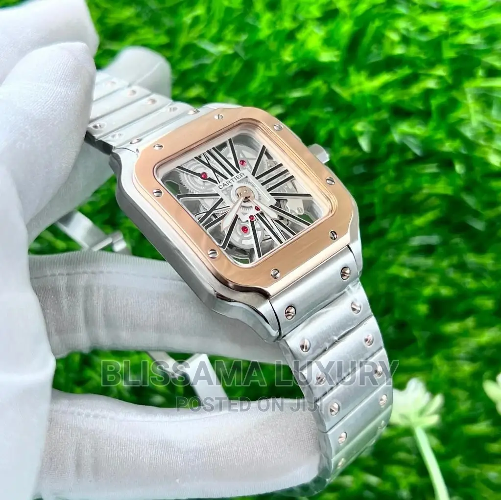 Luxury Cartier Skeleton Face Wristwatch