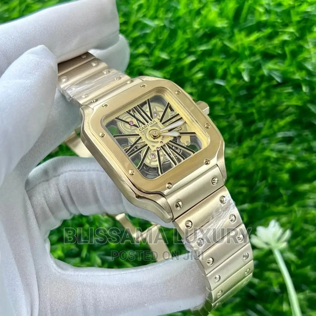Luxury Cartier Skeleton Face Wristwatch