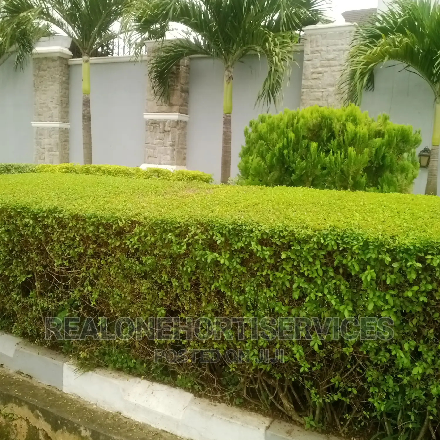 Horticulturist for Your House, Office's and Landscape Man