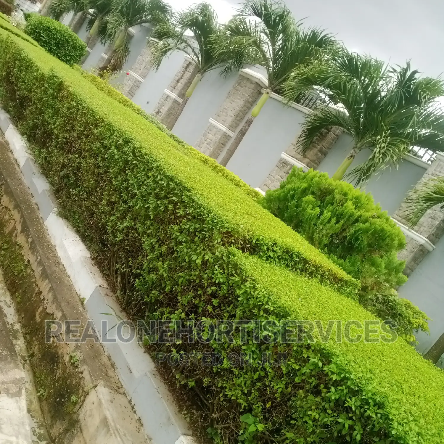 Horticulturist for Your House, Office's and Landscape Man