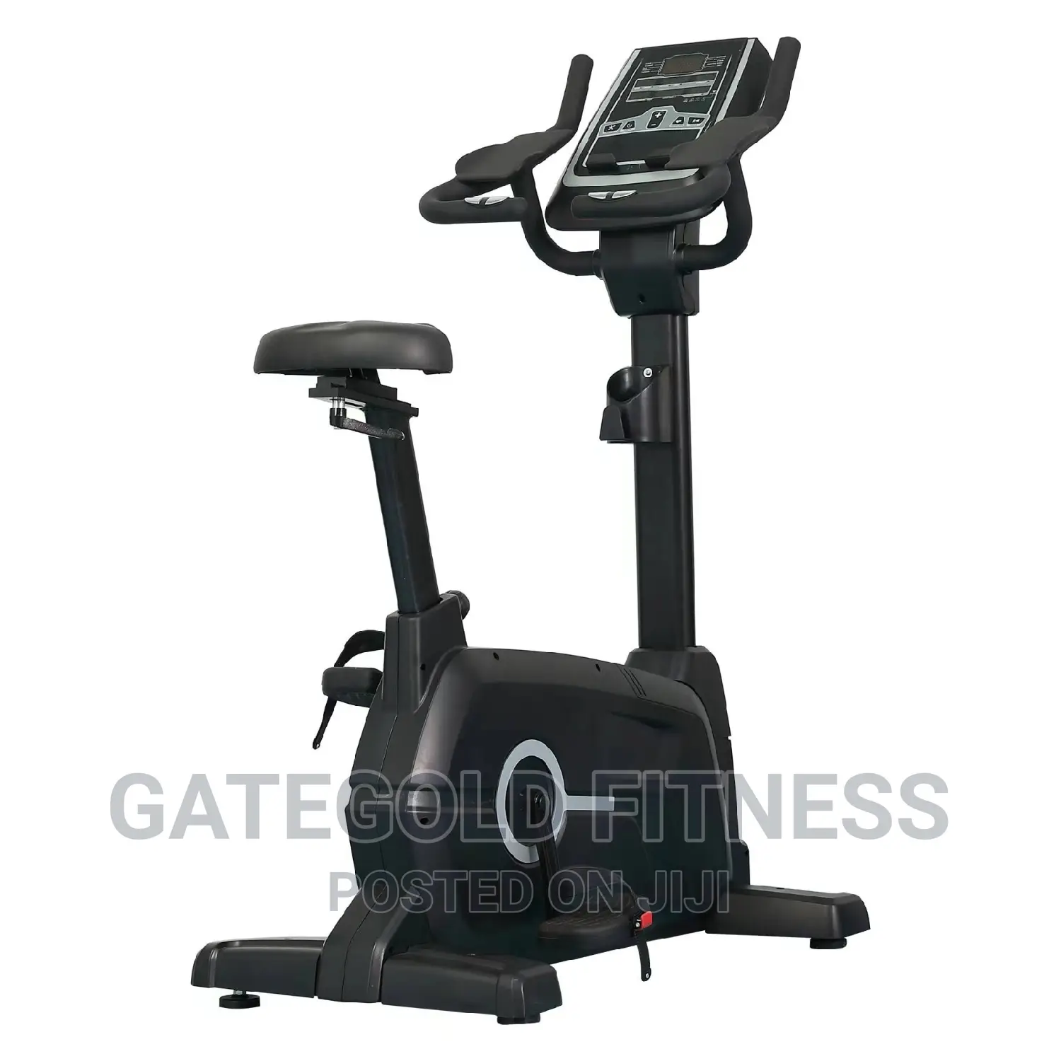 Commercial Upright Bike DFT-F1