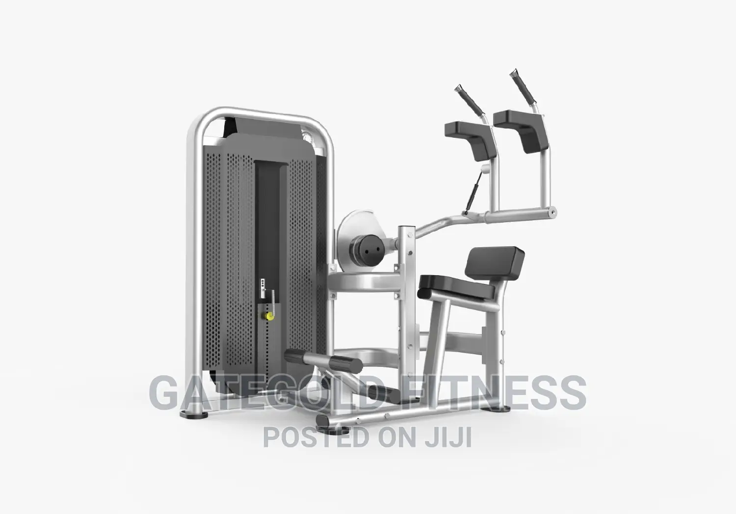 Commercial Abdominal Machine DFT-1616