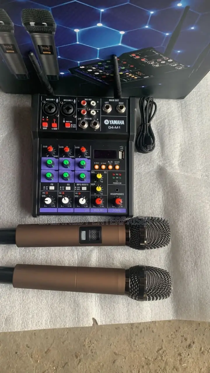 4 Channels Professional Audio Mixer Two Wireless Microphones