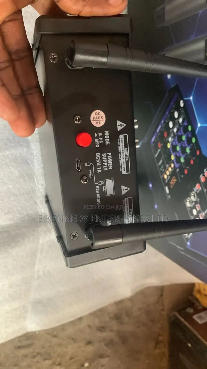 4 Channels Professional Audio Mixer Two Wireless Microphones