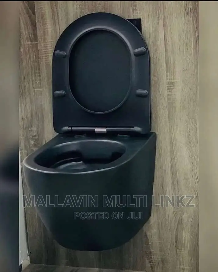 Black Conceal in Wall Toilet