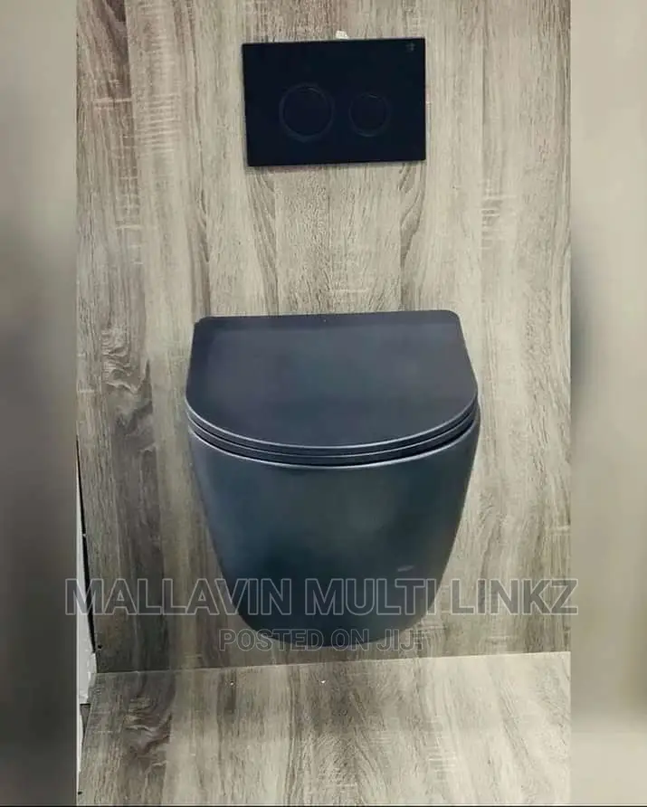 Black Conceal in Wall Toilet