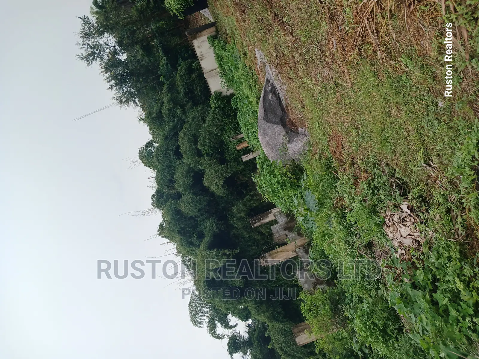 Land Measuring About 3200sm