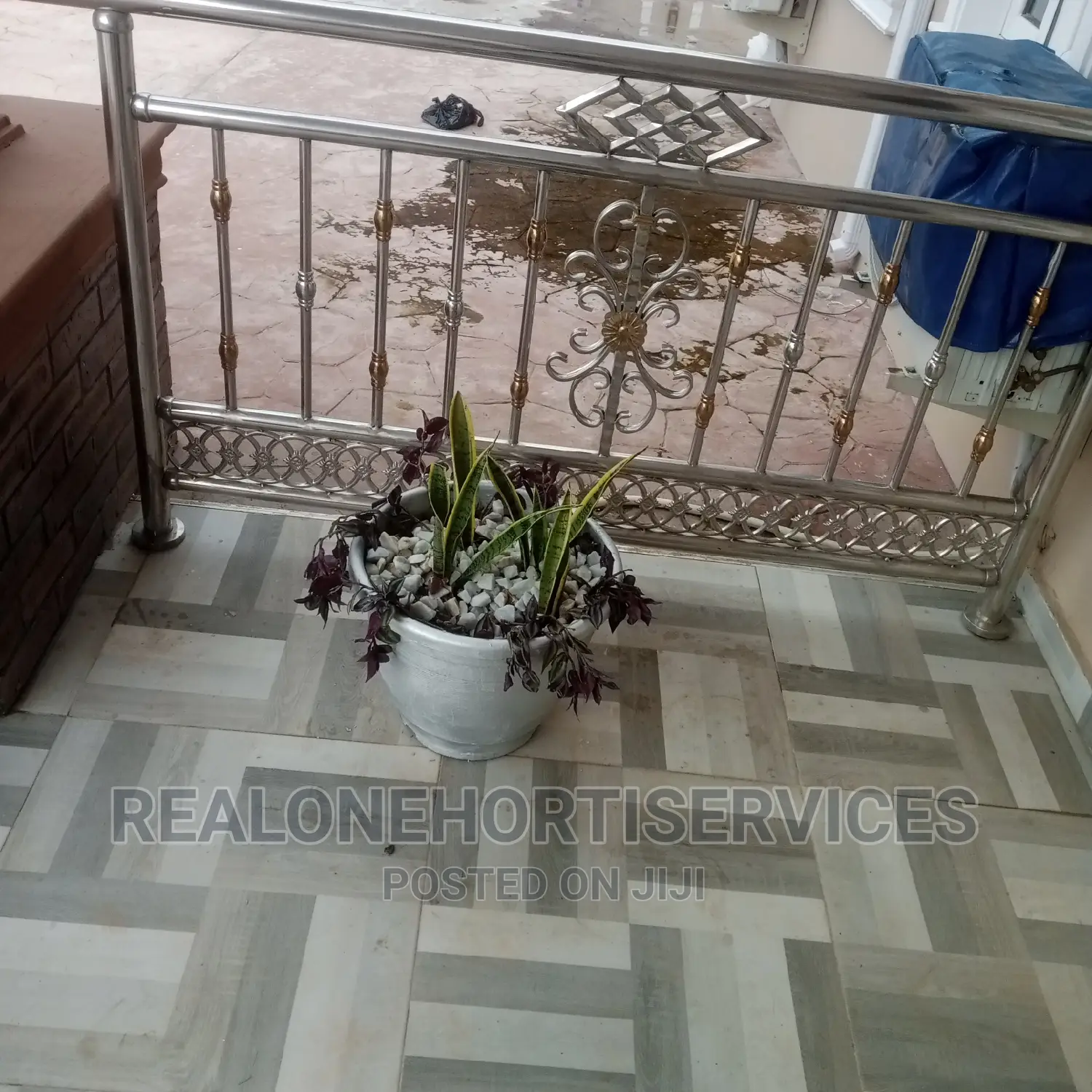 Home Plant for You and Your Family Healthier Living