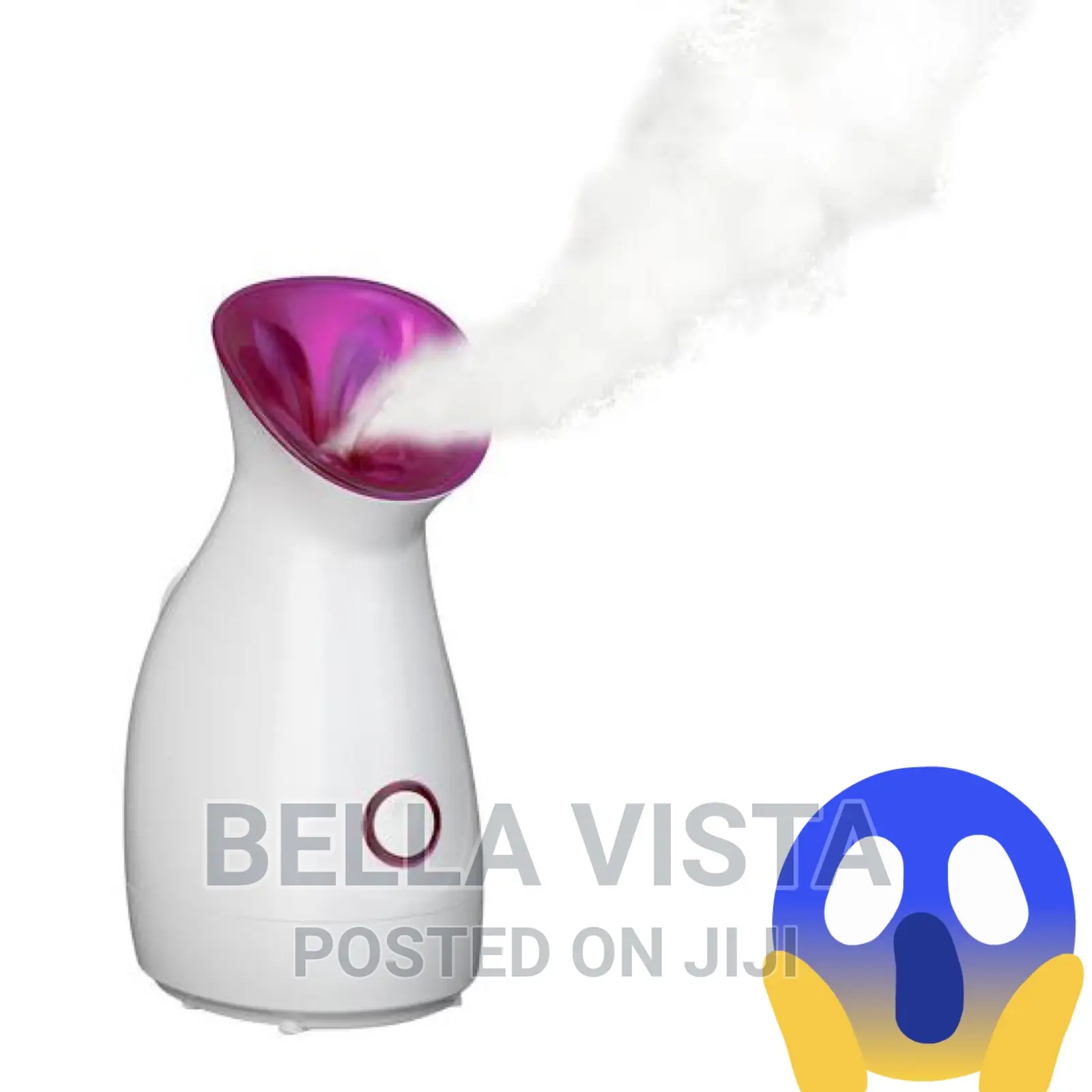 Portable Face Steamer