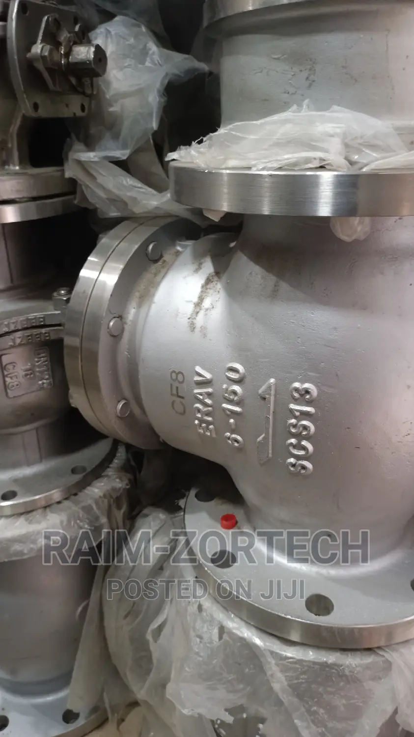 Dn 150 Stainless Steel Class 150 Non-Refundable Valve