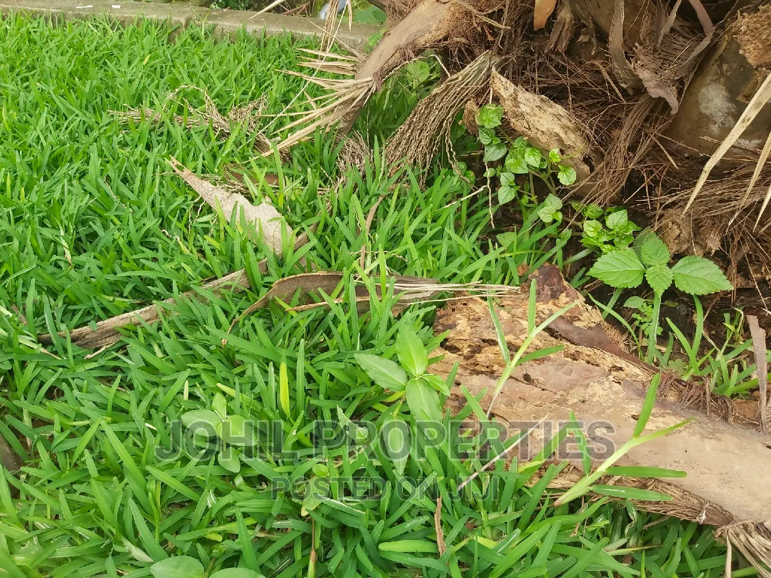 6.7 Hectares
