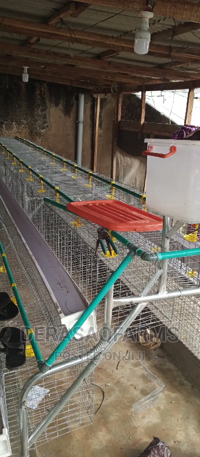 Two Tears (2 Steps)Battery Cage for 64birds