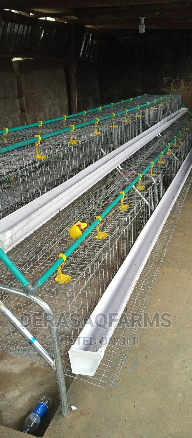 Two Tears (2 Steps)Battery Cage for 64birds