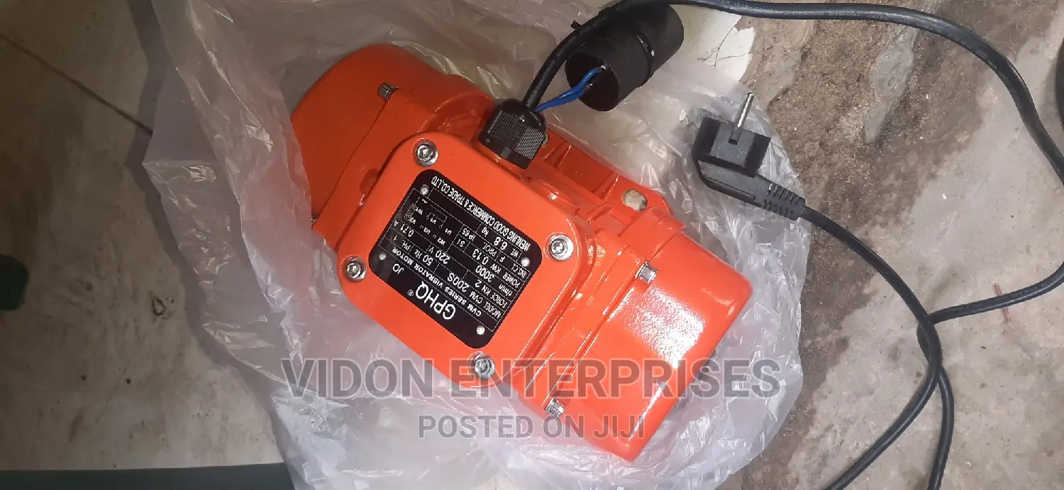 Vibrator Electric Motor