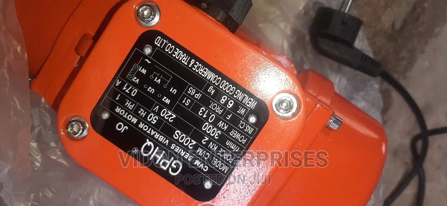 Vibrator Electric Motor