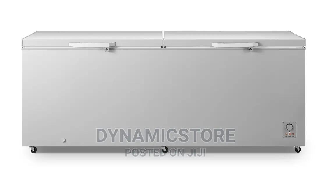 Hisense Fc91dd 702l Chest Freezer Double Door