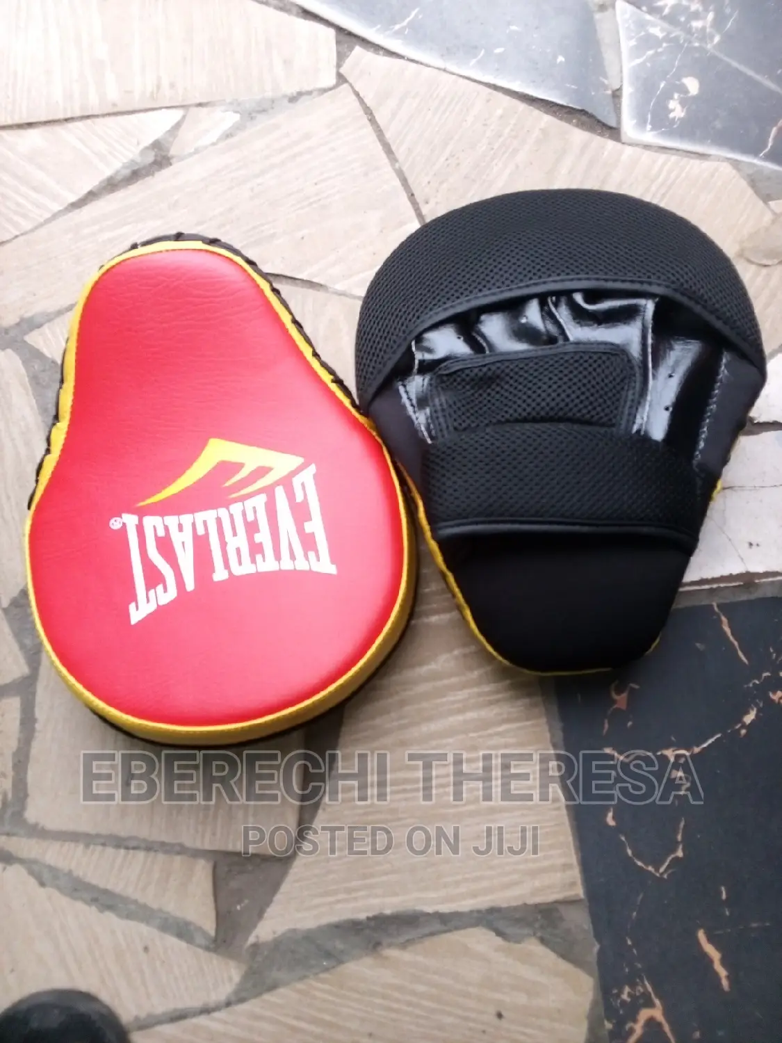 Top Quality Everlast Focus Pad or Coaches Pad