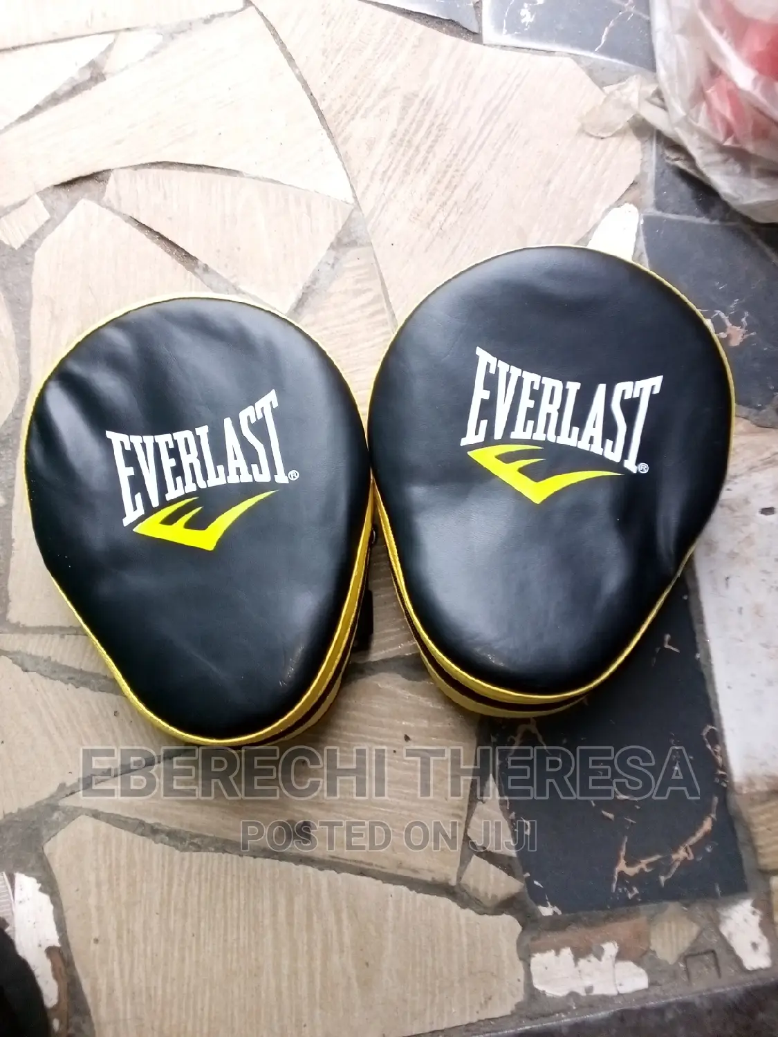 Top Quality Everlast Focus Pad or Coaches Pad