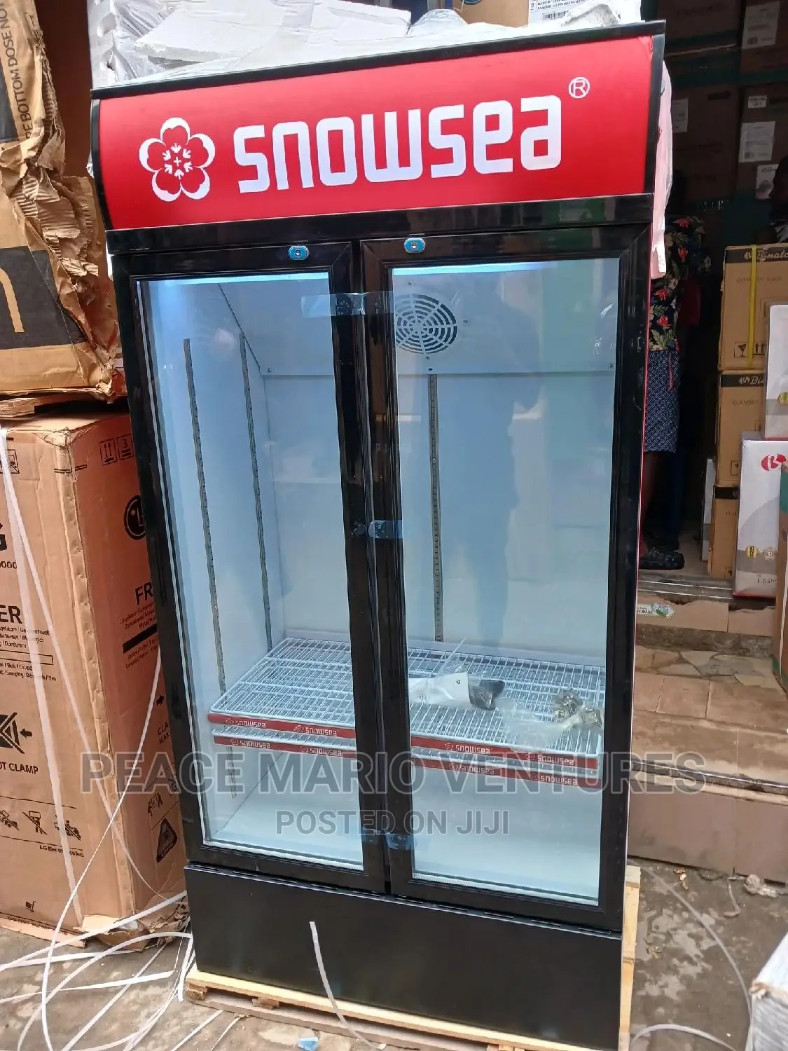 Snowsea Double Door Showcase Chiller With 2years Warranty