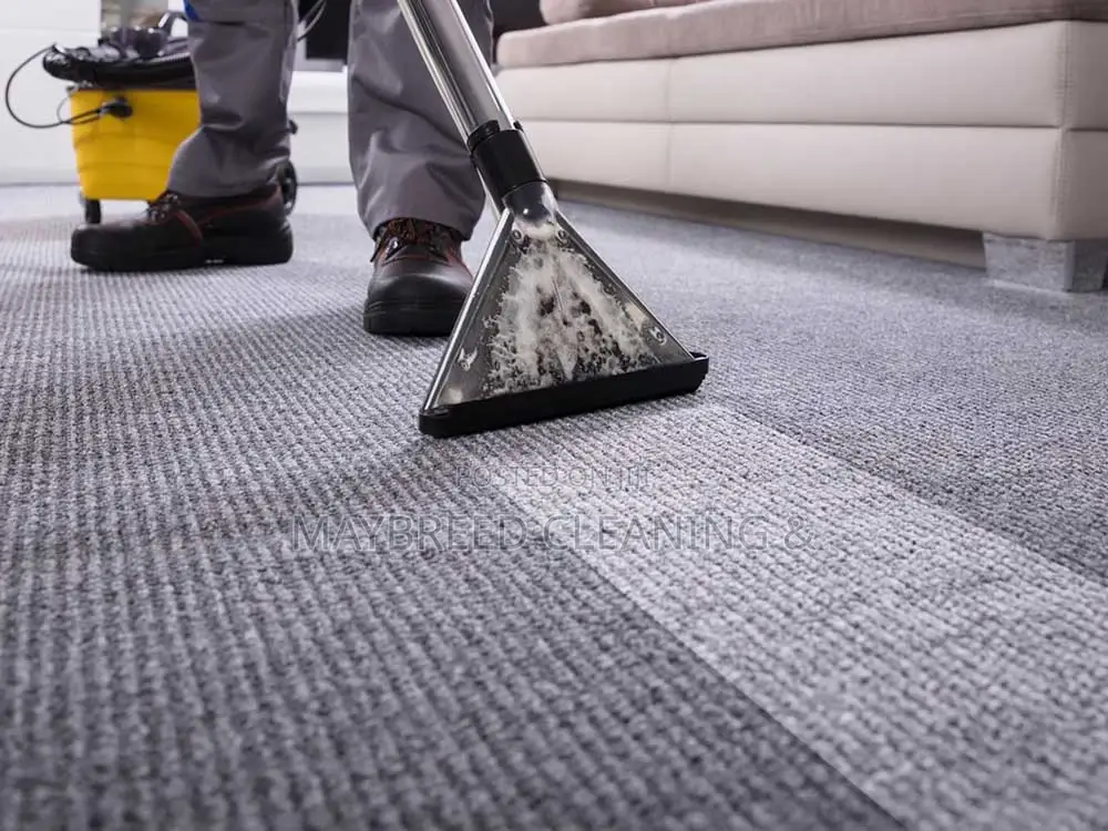 House Cleaning and Upholstery Cleaning Service+