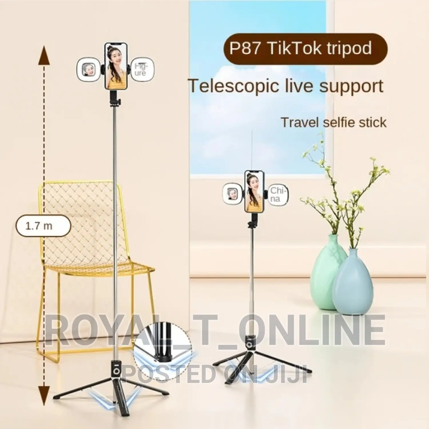 Selfie Stick Tripod With 2 Ring Light and Remote in Abuja