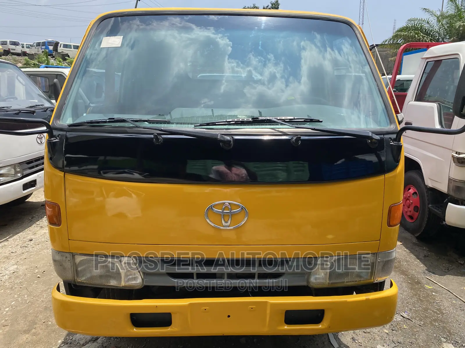 Dyna 200 Yellow