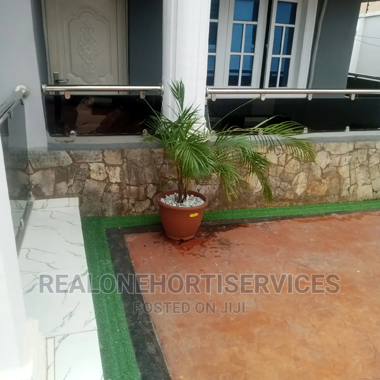 Flower, Palm For Home, Office, Malls, Hotels, School's Beaut