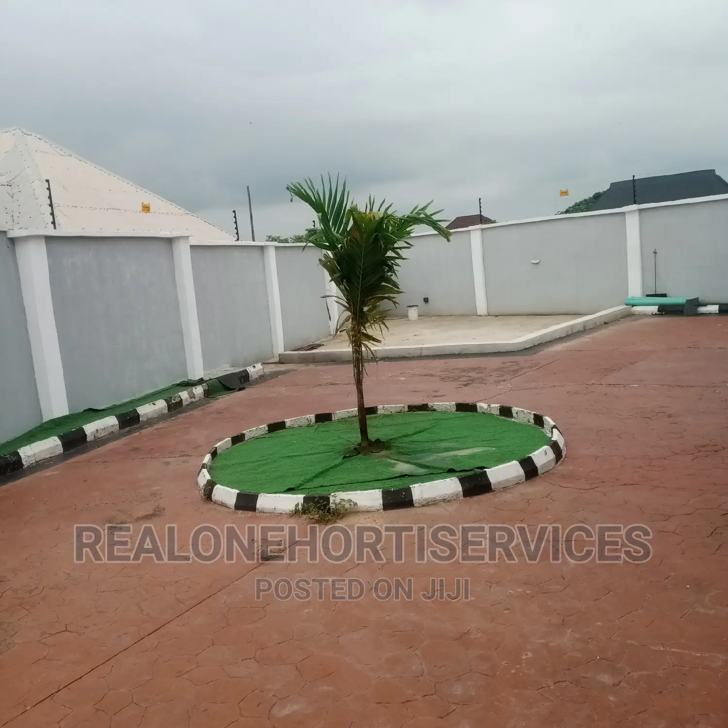 Flower, Palm For Home, Office, Malls, Hotels, School's Beaut