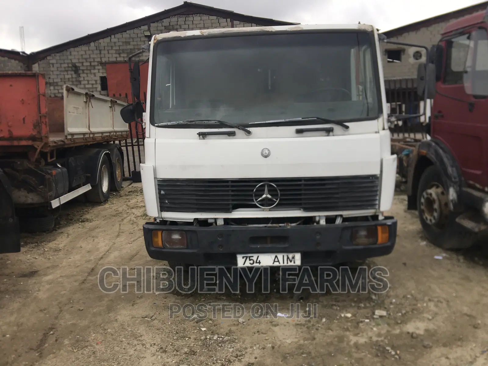 Mecedeces 814 Truck-Head Calf/Chassis