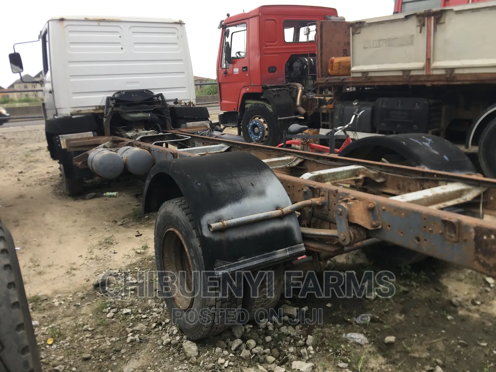 Mecedeces 814 Truck-Head Calf/Chassis