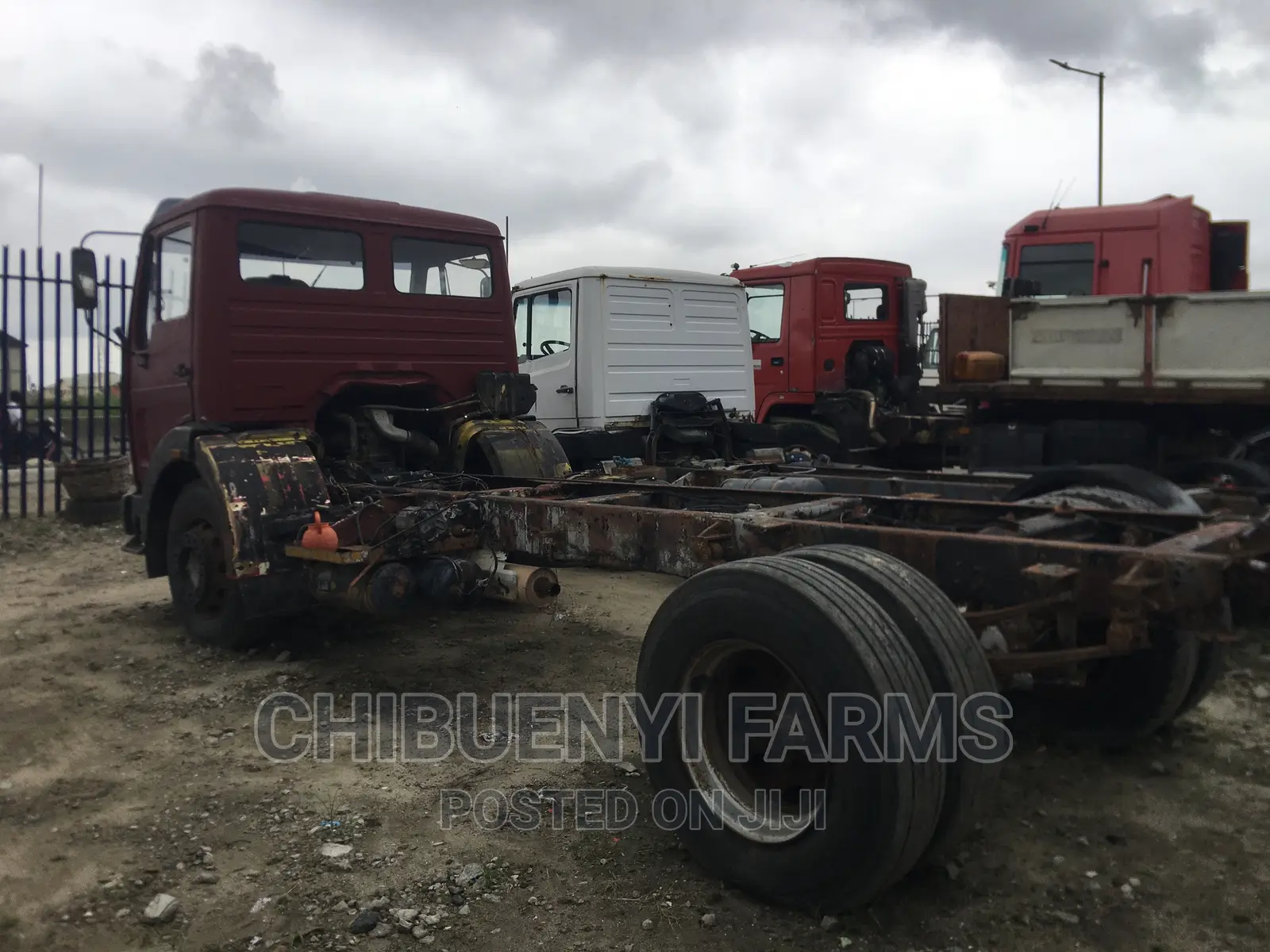 Mecedeces 1722 Calf/Chassis 6 Tyres