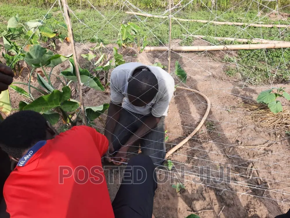 Staking Net 109feet by 200feets Professional