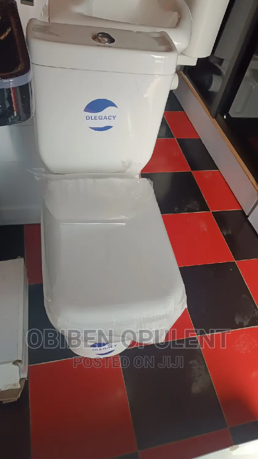 Toilet WC With Basin and Pedestal