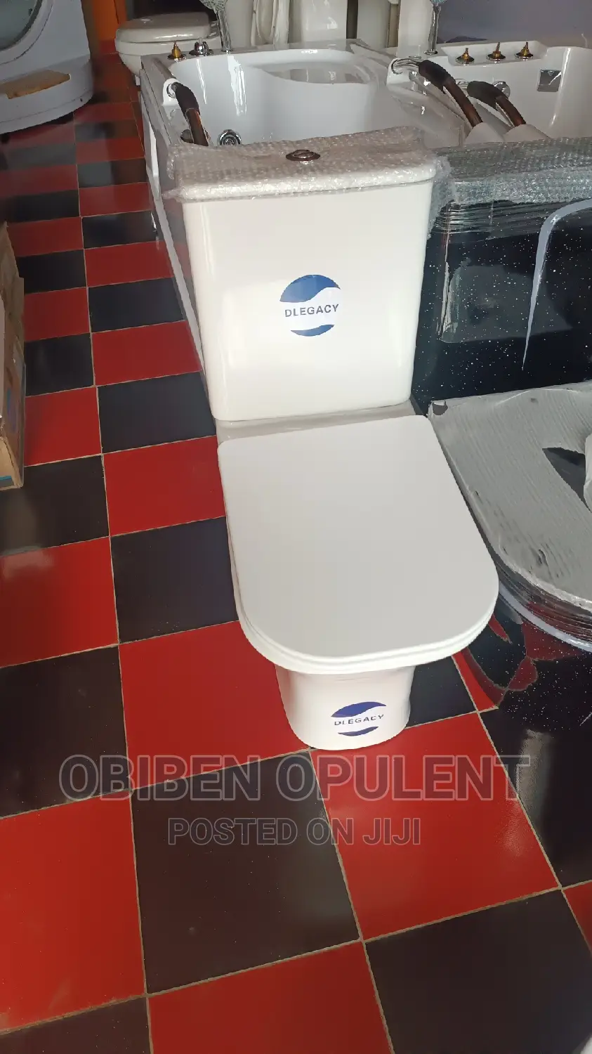 Toilet WC With Basin and Pedestal