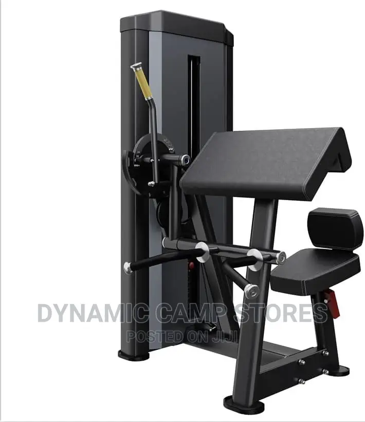 American Fitness Heavy-Duty Triceps Extension/Biceps Curl