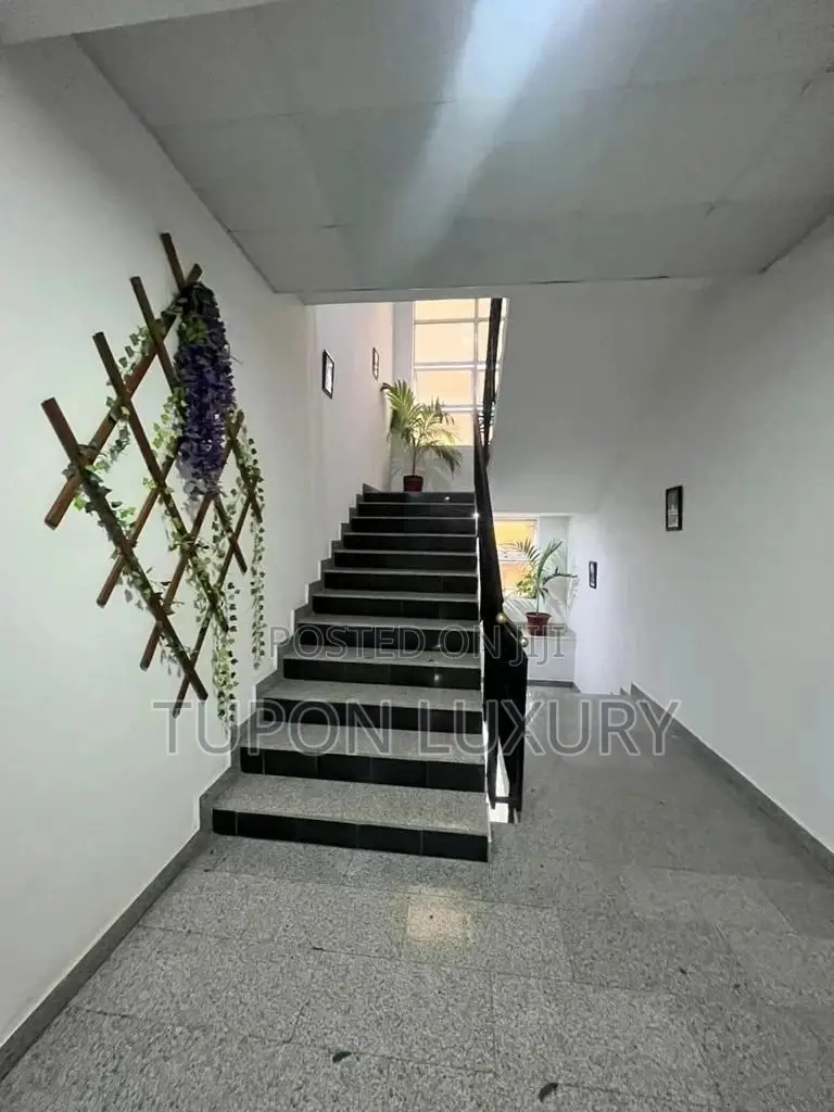 Spacious 1 Bedroom Apartment
