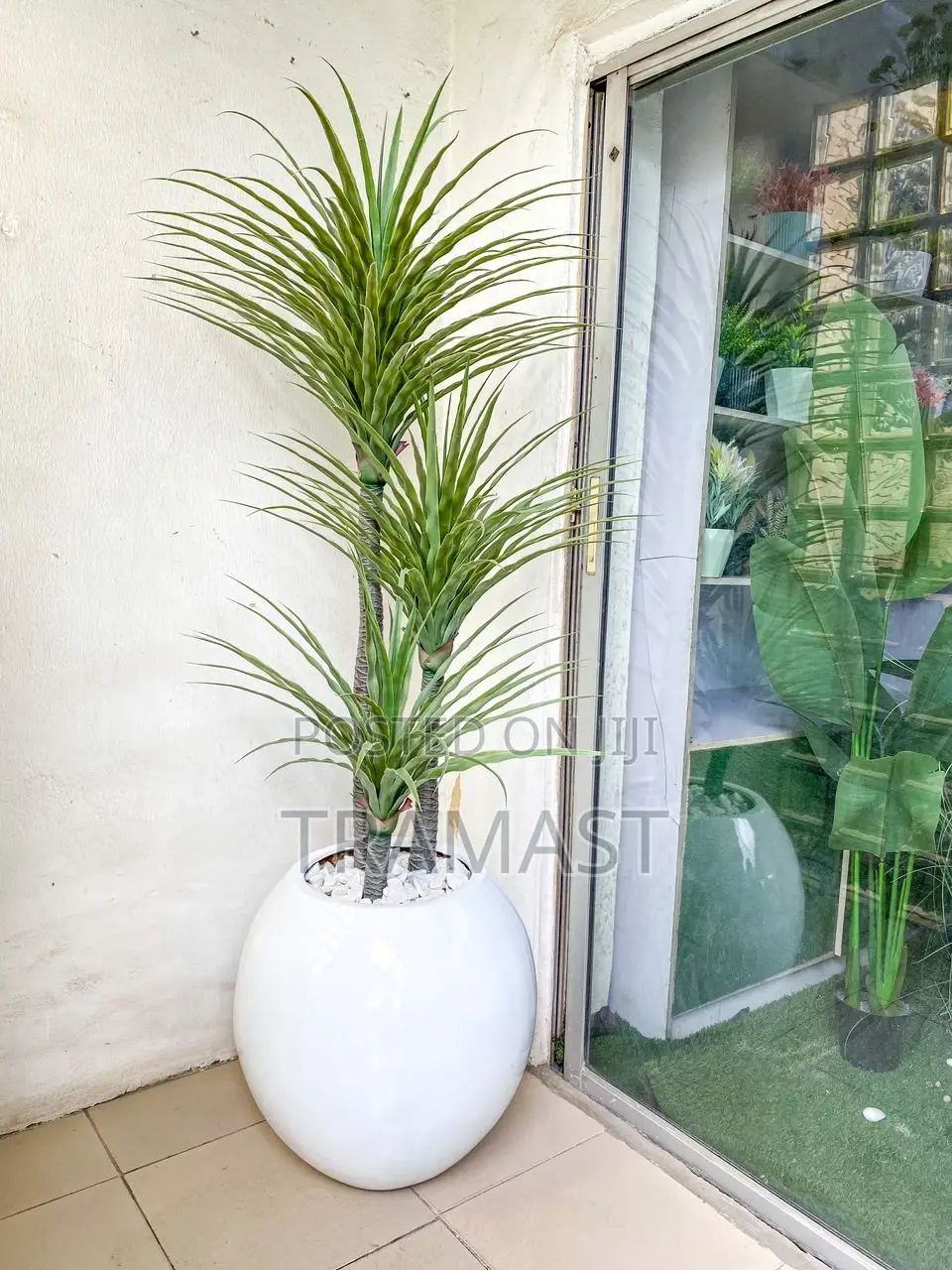 Yucca Plant With Fiberglass Pot