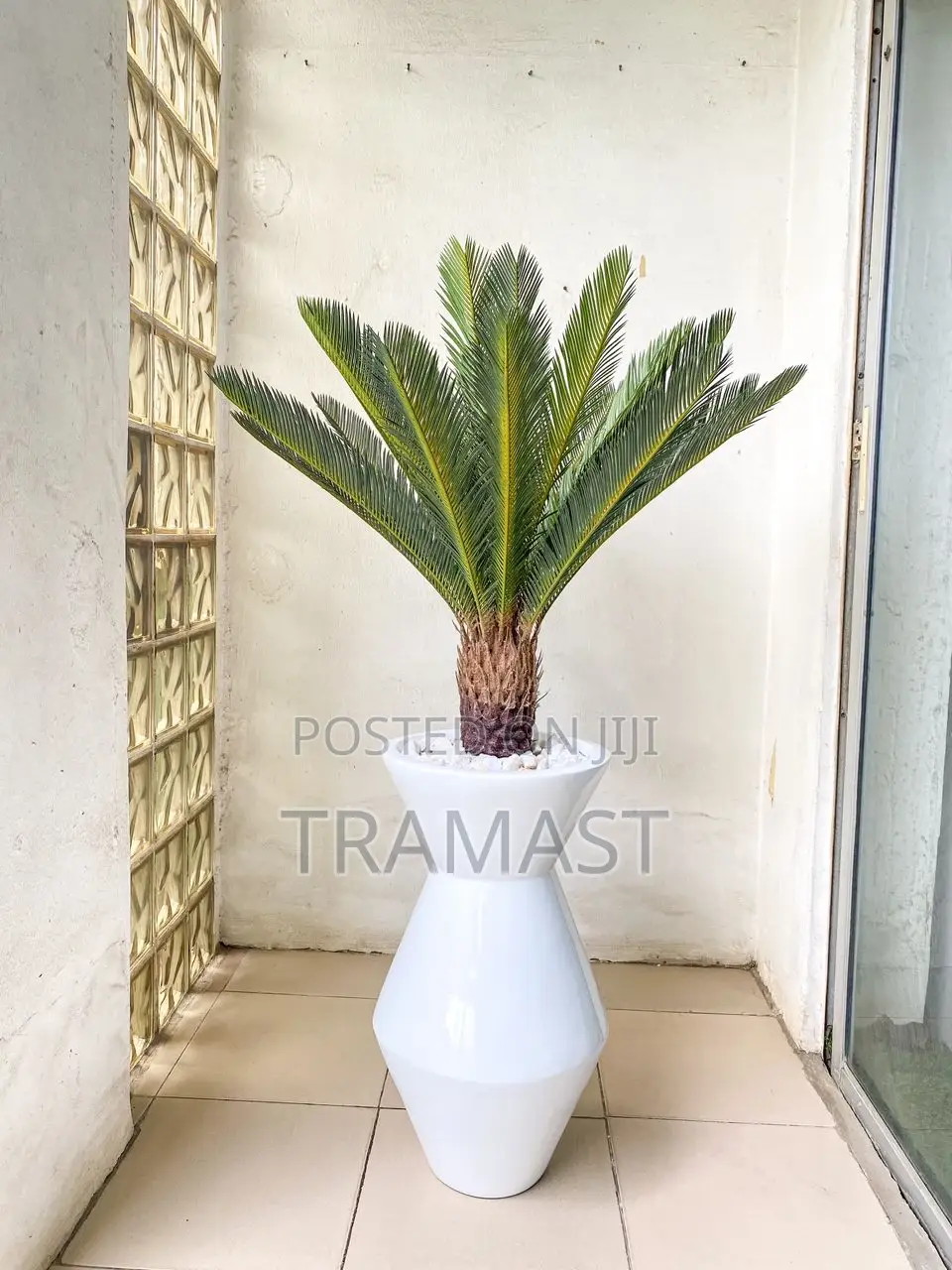 Cycas Palm Plant With Fiberglass Pot