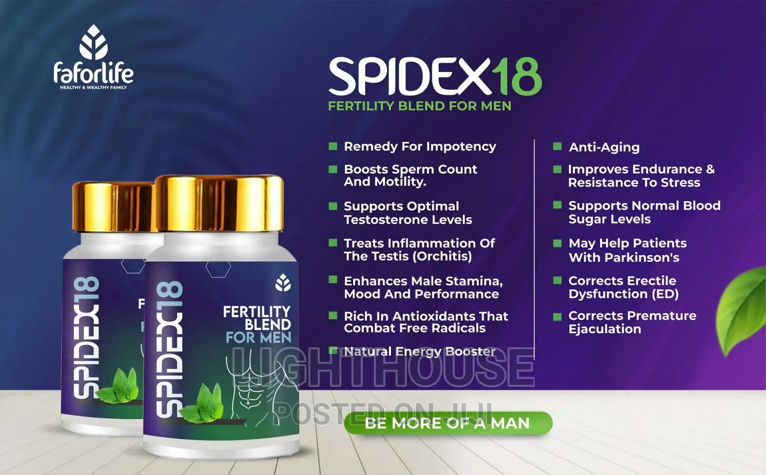 Spidex 18 Fertility Blend for Men to Enhance Fertility
