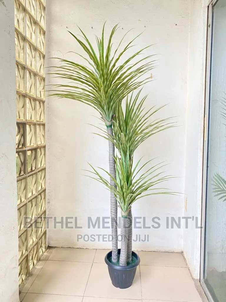 Artificial Plants | Bulk Sales of Fake Yucca Plants