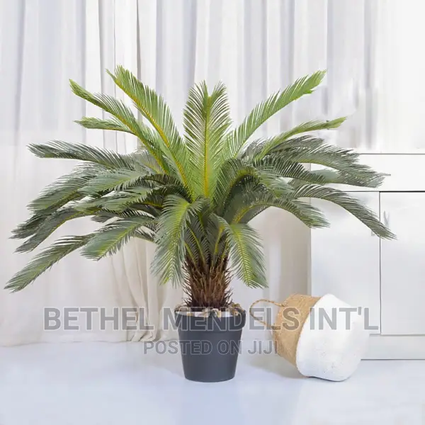 Artificial Plants | Wholesales of Fake 90cm Cycas Palms