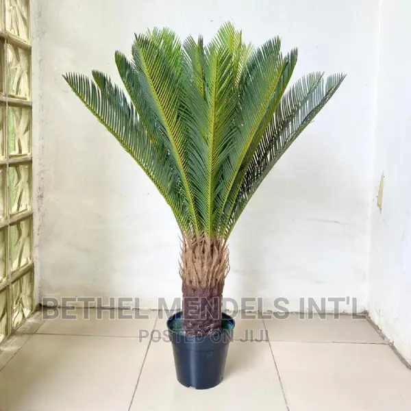 Artificial Plants | Wholesales of Fake 90cm Cycas Palms